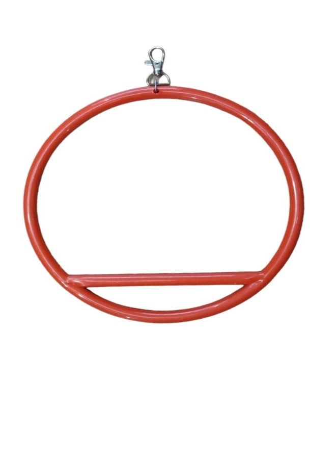 TRADESK Anky Birds Hanging Ring Birds Toys Parrot Toy cage Toy Big Birds Hanging Ring for Birds and Parrot Plastic Training Aid for Bird Pack of 2 - Image 2